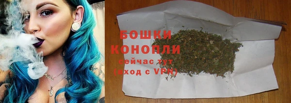 гидропоника Горно-Алтайск