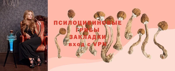 героин Богородицк